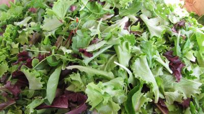 Photo : salade mesclun