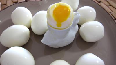 Oeufs : Assiettes d'oeufs mollets