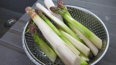Flans d'asperges - 1.3