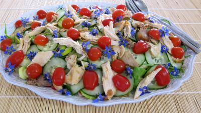 Image : Assiette de restes de poulet en salade
