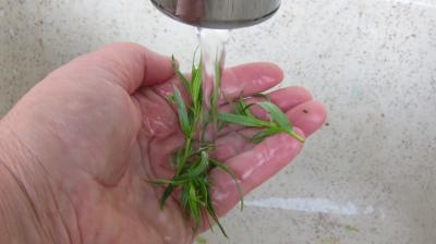 Salade haricots beurre du jardin - 2.2