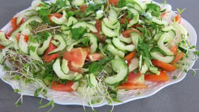 Salade haricots beurre du jardin - 7.2