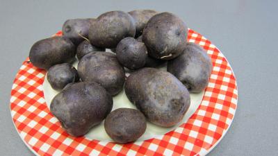 Bleue d'Artois