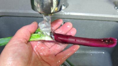 Crème de courgette en amuse-bouche - 1.2