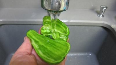 Crème de courgette en amuse-bouche - 3.4
