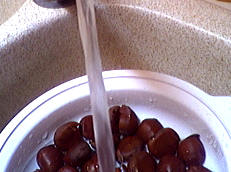 Soupe de châtaignes et escargots - 2.1
