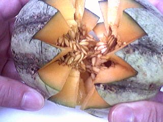 Salade de melon aux graines de sésame - 2.3