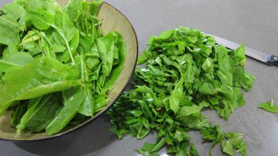 Conserve de ragoût de blettes et d'oseille au basilic - 3.1