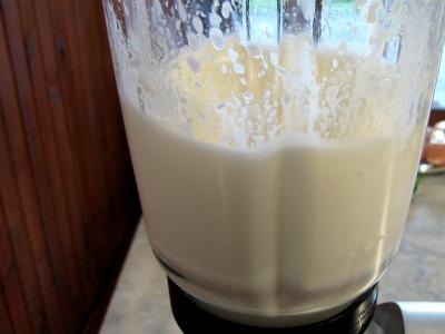 Melons en blanquette - 4.1