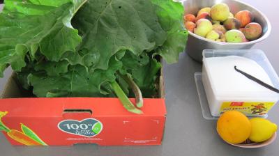 Ingrédients pour la recette : Gelée de pommes à la rhubarbe