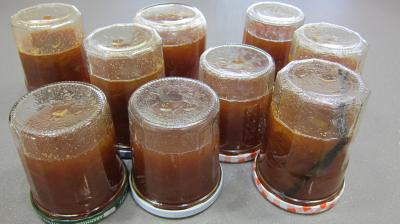 Gelée de pommes à la rhubarbe - 7.2