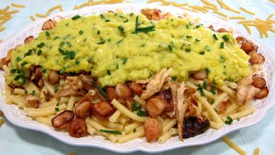 Image : Grand plat de maccheroni au poulet, navets et coulis de courgette