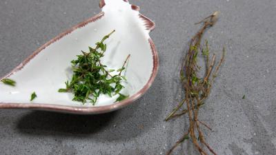 Soupe de thon aux topinambours - 1.4