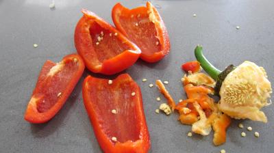 Endives et orange, mandarine en salade - 4.1