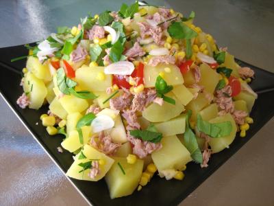 entrée à base de poisson : Assiette de salade de thon et poivrons