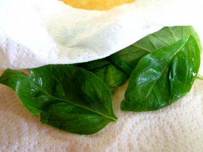 Tomates-cerises à la mozzarella - 3.2