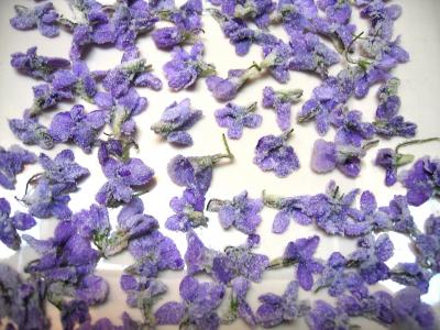 Recette Fleurs cristallis�es