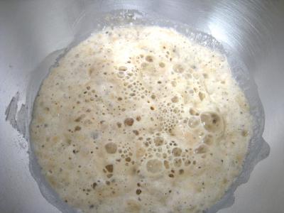 Dampfnudel - 3.1