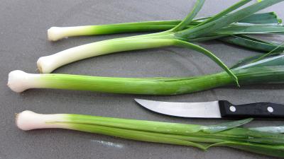 Bouillon de légumes à l'oignon rouge - 1.2