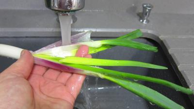 Bouillon de légumes à l'oignon rouge - 3.3