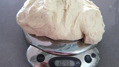 Pain baveux de la sorcière - 5.2