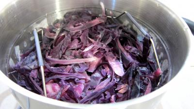 Chou rouge aux pommes - 4.3