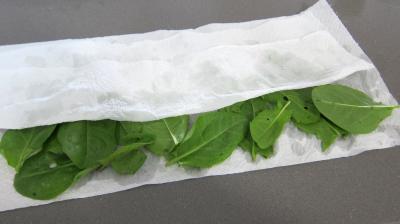 Noix saint Jacques en salade - 2.4