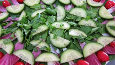 Noix saint Jacques en salade - 6.1