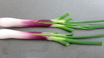 Clafoutis aux encornets - 4.3
