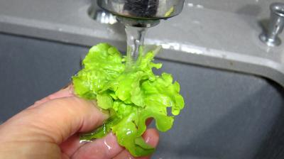 Pousses de bambou en salade - 4.4