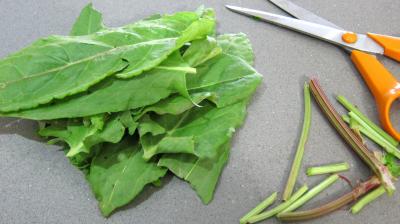 Pousses de bambou en salade - 5.2