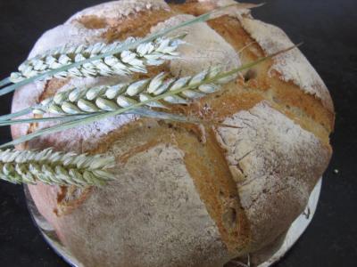 Image : recette Pain de campagne au poolish