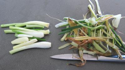 Mijoté de poulet aux abricots - 3.1