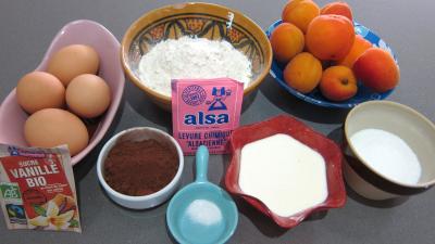 Ingrédients pour la recette : Gâteau aux abricots