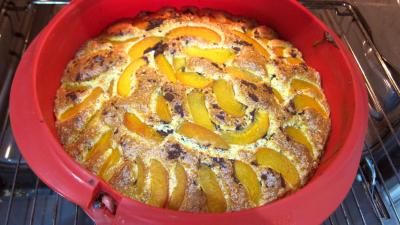 Gâteau aux abricots - 6.3