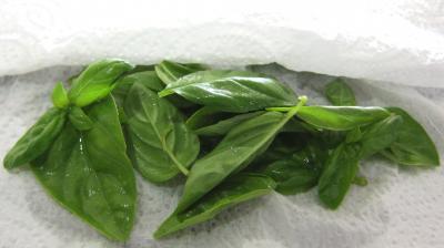 Pesto - 1.1