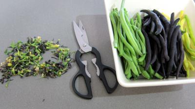 Haricots verts et courgettes gratinés aux fines herbes - 1.1