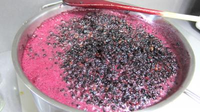 Confiture de baies de sureau - 3.3