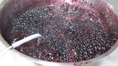 Confiture de baies de sureau - 5.1