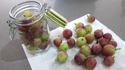 Raisins à l'eau de vie et épices - 5.3