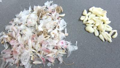 Conserves de tomates aux champignons - 1.1
