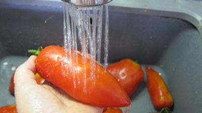 Conserve de sauce tomate au blanc de dinde - 4.2