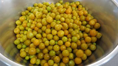 Confiture de physalis ou "d'amour en cage" - 1.3