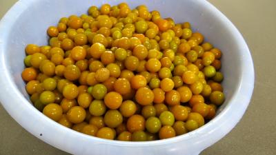Confiture de physalis ou "d'amour en cage" - 2.1
