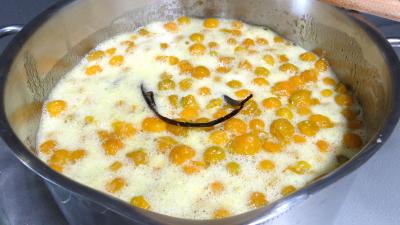 Confiture de physalis ou "d'amour en cage" - 4.4