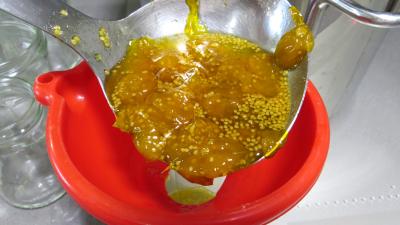 Confiture de physalis ou "d'amour en cage" - 6.1