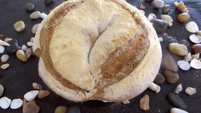 Pains & pâtes : Pain de campagne sur levain