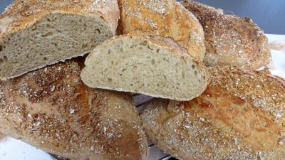 Recettes sans oeufs : Pains au cidre