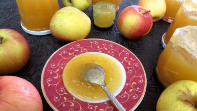 Recettes sans oeufs : Coupelle de confiture de pommes à la rhubarbe façon compote