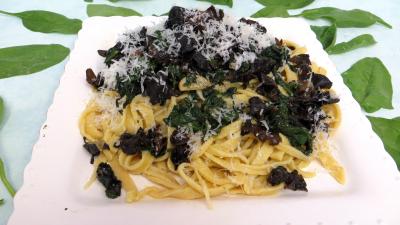 Les grands classiques : Assiette de tagliatelles sautées aux épinards